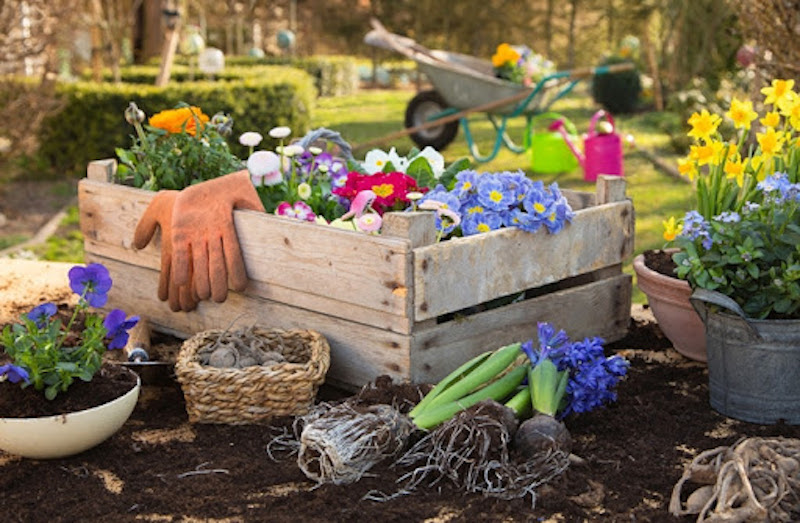 wie bereite ich meinen garten zum anbauen vor und was ist wichtig