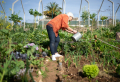 4 Tipps, um den Garten auf das Älterwerden vorzubereiten