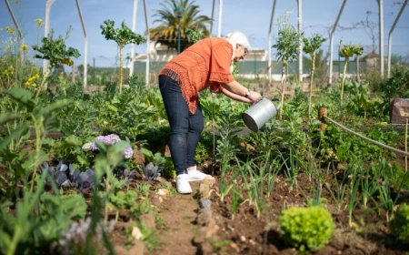 0 garten pflege im ruhestand 4 tipps