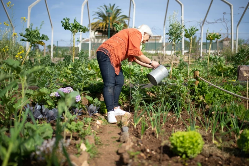 0 garten pflege im ruhestand 4 tipps