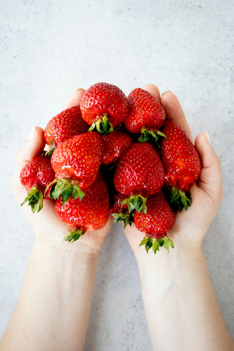 11 handvoll erdbeeren pflege garten erdbeeren pflanzen wann