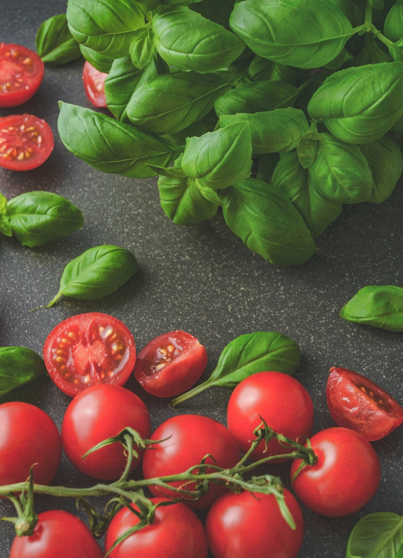 5 anbauen tomaten balkon hilfreiche tipps und infos