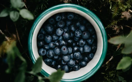 7 anbauen blaubeeren standort wo infos und tipps