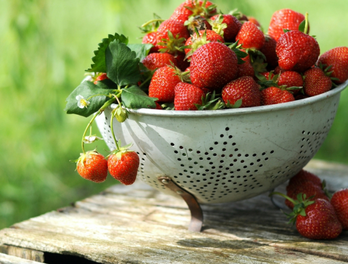 8 schale mit erdbeeren infos erdbeeren anbauen selber machen
