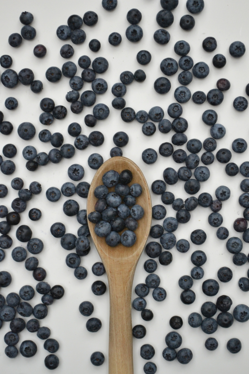 9 blaubeeren standort pflanzen wichtige infos