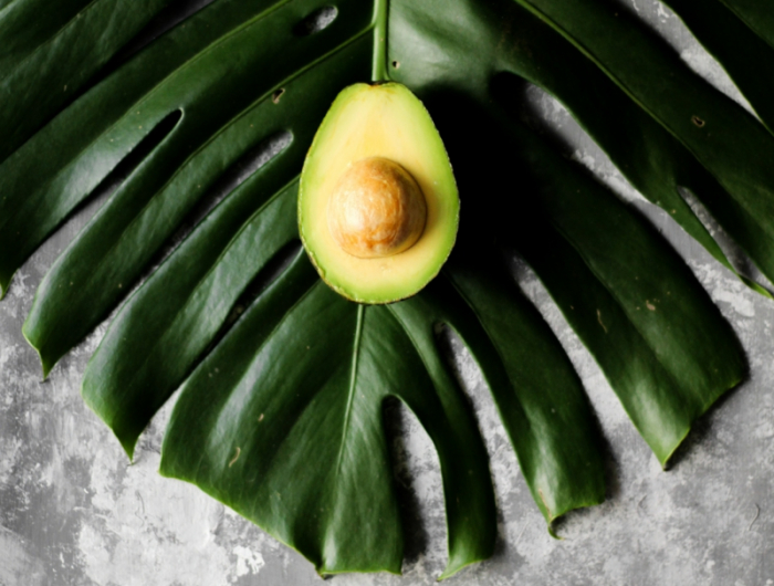 9 gesunde ernaehrung avocados kern wiederverwenden infos