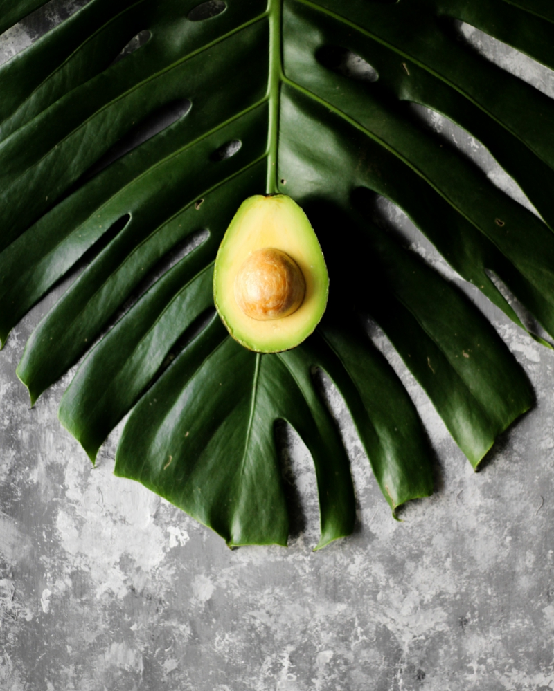 9 gesunde ernaehrung avocados kern wiederverwenden infos