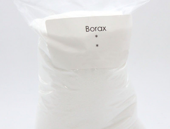 borax hausmittel gegen ameisen im garten ameisenneste pulver weisses