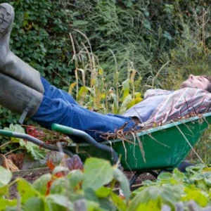 fauler gaertner schlaefft im pflegeleichten bauerngarten