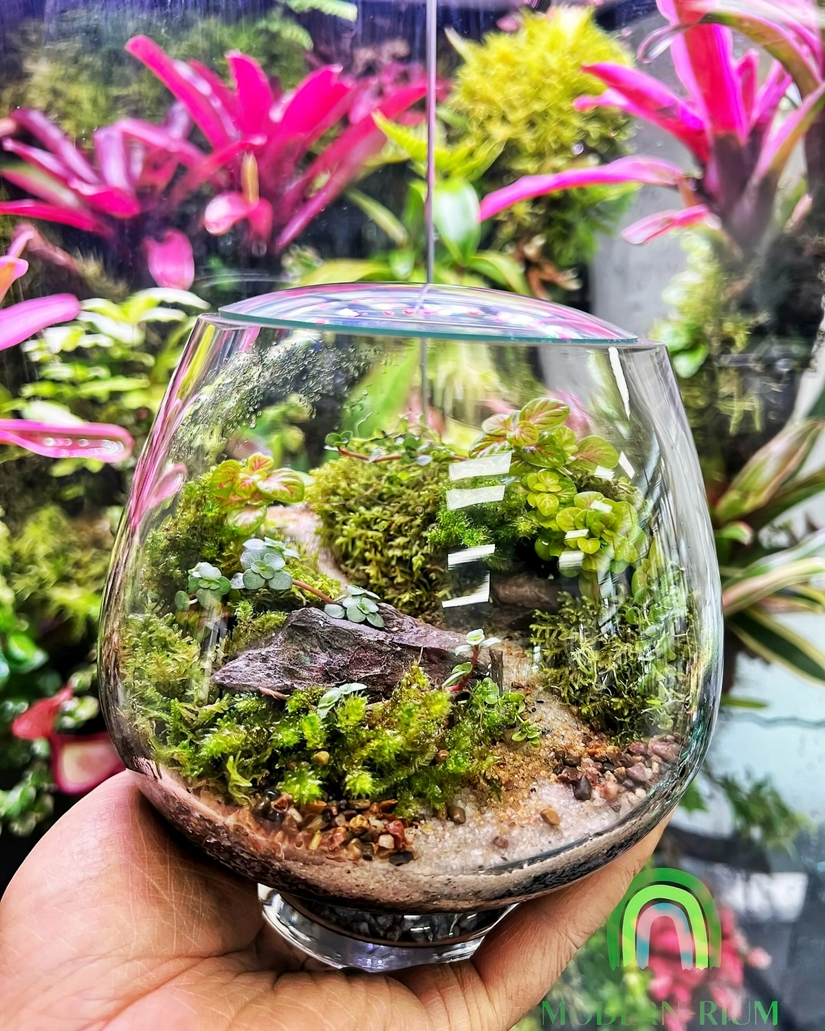 fruehjahrsdeko 2025 mitni terrarium florrarium basteln aus glas mit moos modernrium