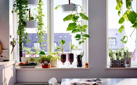window sill garden ideas indoor gardening ideas for kids home with regard to 10 window sill garden ideas, most awesome and also beautiful