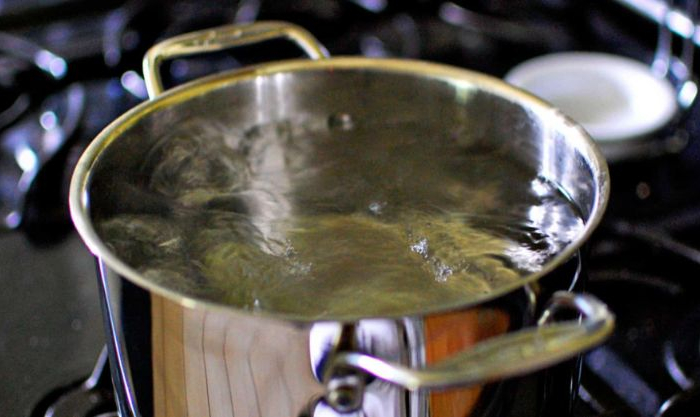 kochendes wasser hausmittel gegen ameisenneste ameisenhaufen