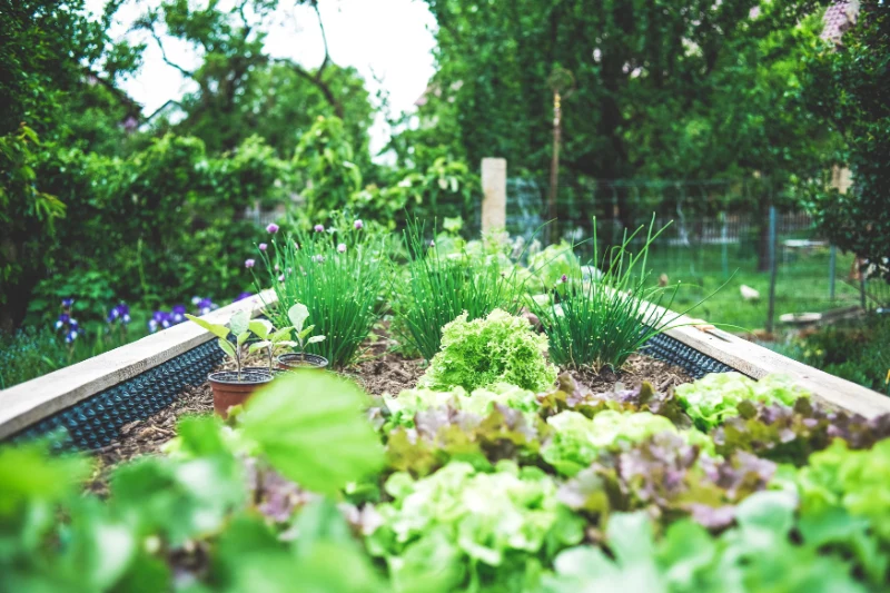 kraeutergarten gestalten im kleinen garten