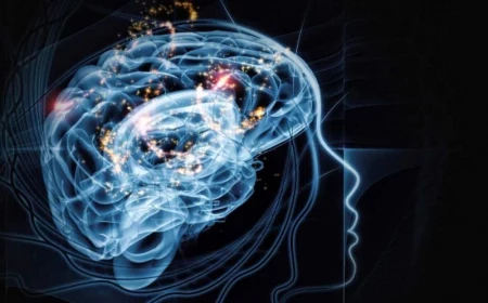 persoenlichkeitstets kostenlos machen online mit einem click