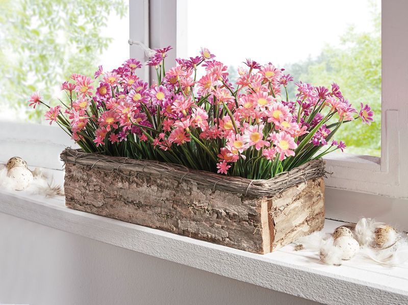 was tun gegen ameisen ameisen vertreiben ameisen unter terrasse bekämpfen holzkasten mit rosa bluemchen am fensterrand