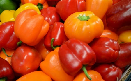 0 garten obst pflanzen paprika anbauen tipps infos