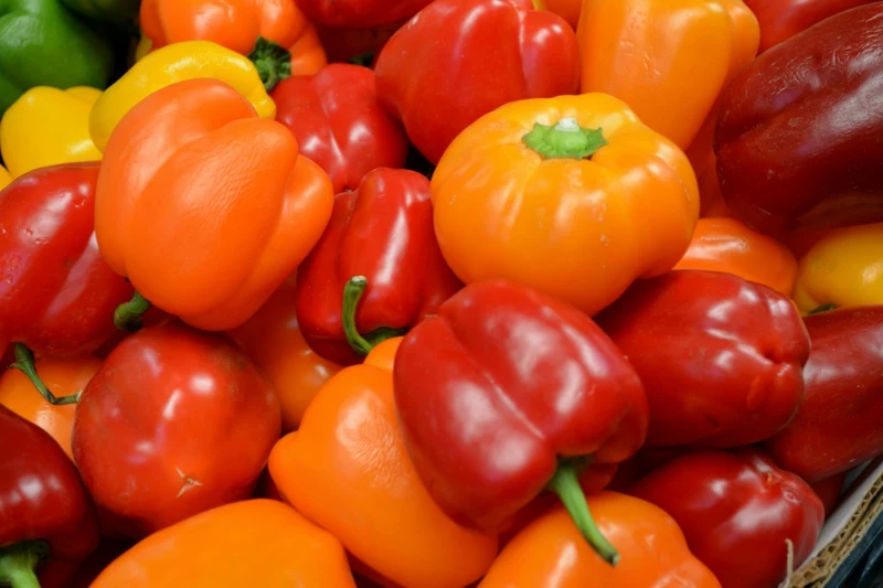 0 garten obst pflanzen paprika anbauen tipps infos