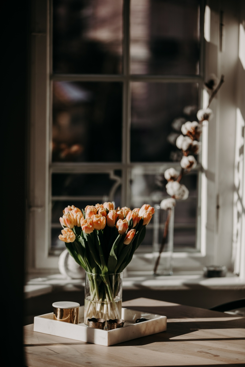 0 wie halten tulpen laenger in der vase infos und tipps