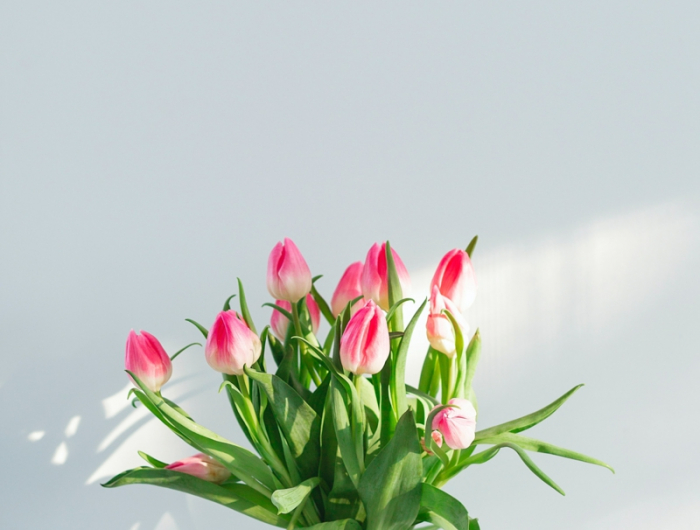 1 tulpen in der vase laenger am leben halten tipps