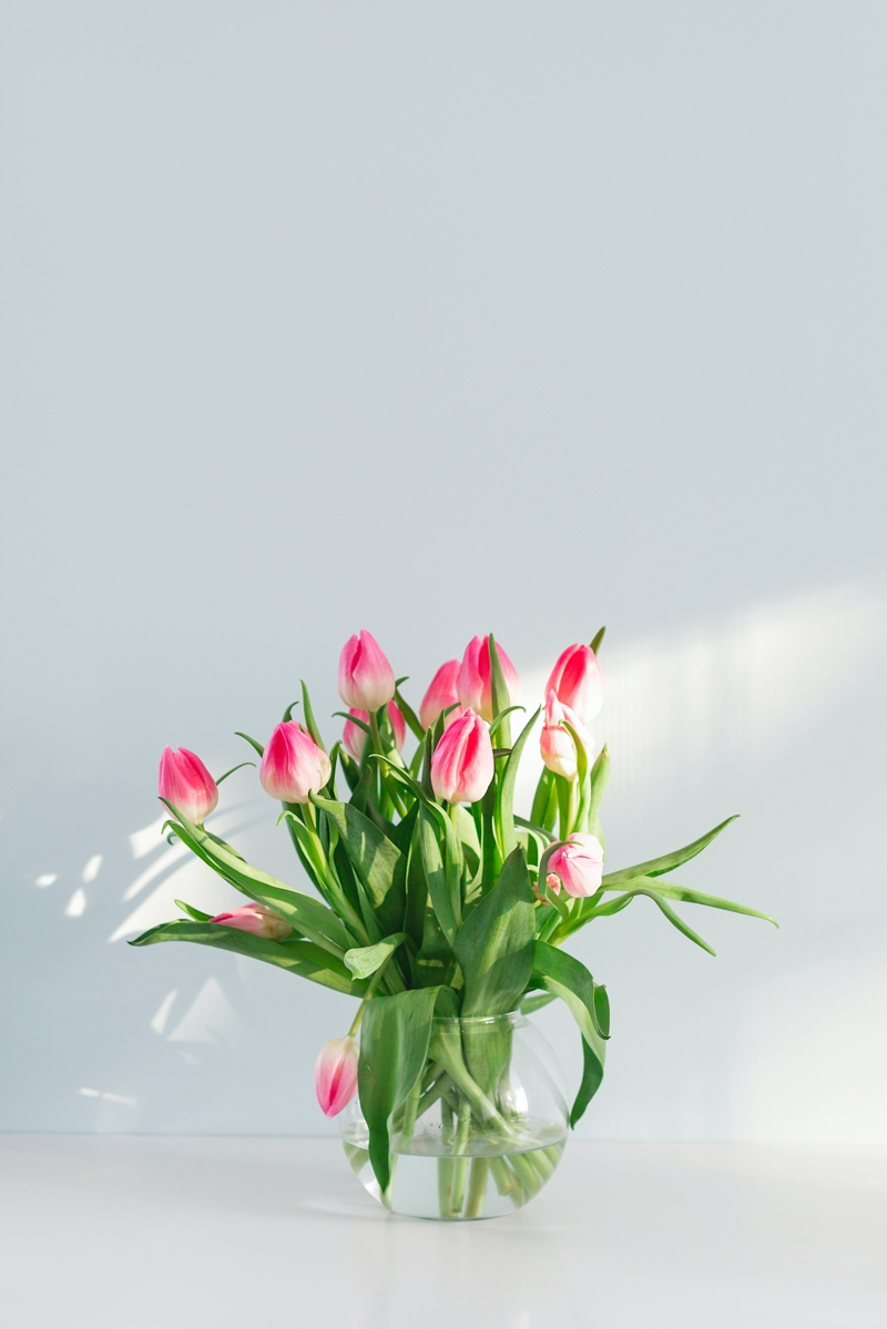 1 tulpen in der vase laenger am leben halten tipps
