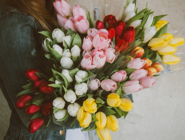 12 hilfreiche informationen ueber wie halten tulpen laenger tipps