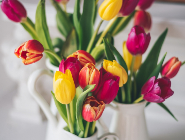 13 kleine und grosse vasen mit blumen tulpen in vase frisch halten