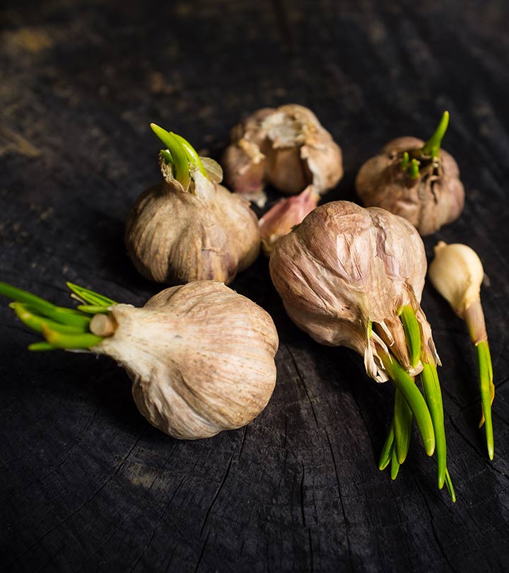 168 why you should never throw away sprouted garlic
