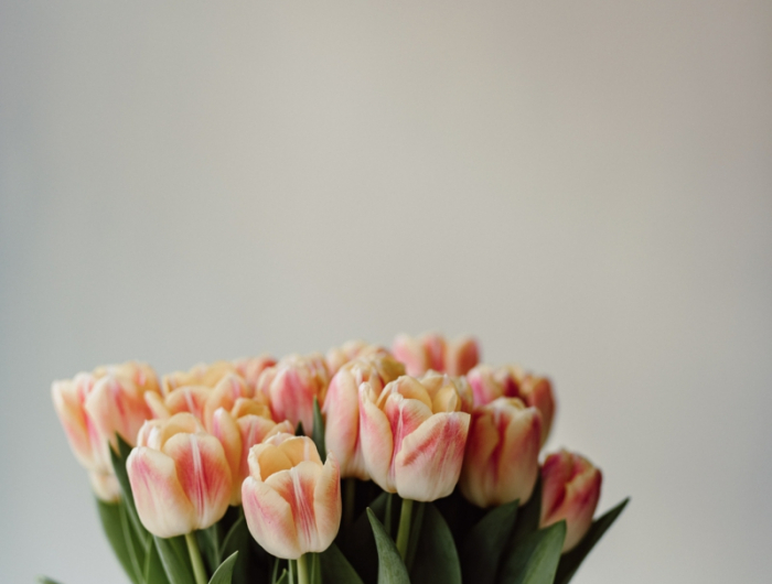 3 schoener blumenstrauss warum haengen tulpen in der vase infos
