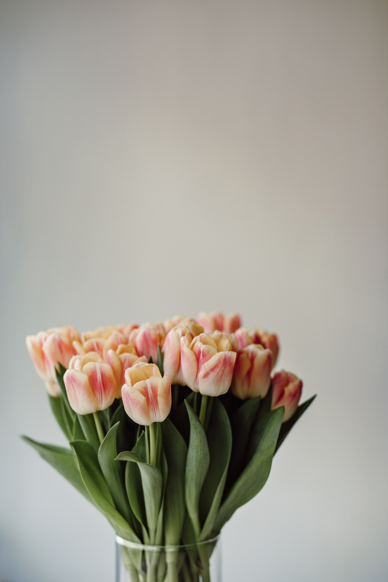 3 schoener blumenstrauss warum haengen tulpen in der vase infos