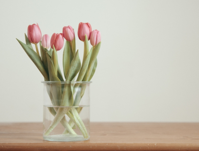 5 pinke blumen tulpen lassen koepfe haengen wieso infos