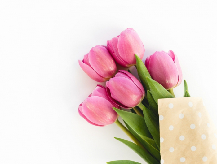 6 rosa blumenstrauss tulpen in vase laenger frisch halten infos