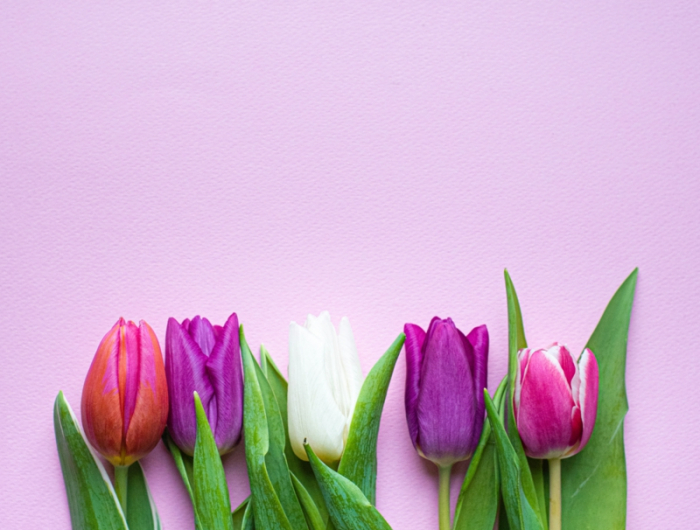 8 wunderschoene blumen wie halten tulpen laenger in der vase