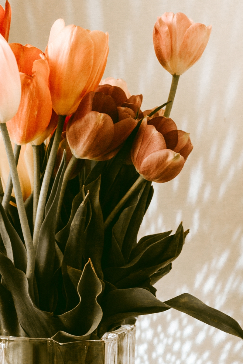 9 schoener blumenstrauss tulpen blaetter entfernen und laenger am leben halten