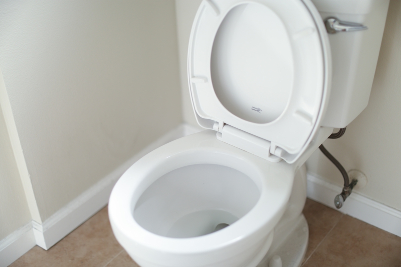 9 toilette reinigen mit hausmitteln ablagerungen in toilette abfluss entfernen