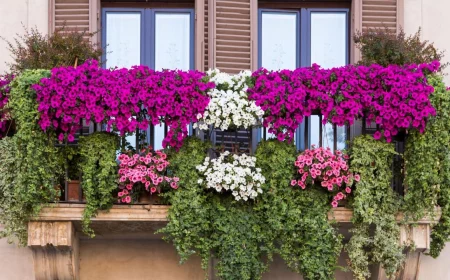 stunning hanging baskets and container gardening tips