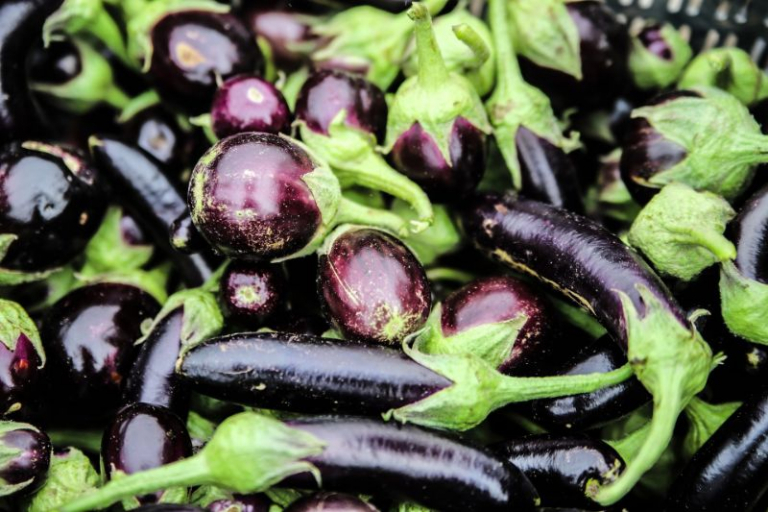 Wie Sieht Eine Aubergine Von Innen Aus Die Aubergine pflanzen und pflegen: Mit diesen Tricks gelingt die