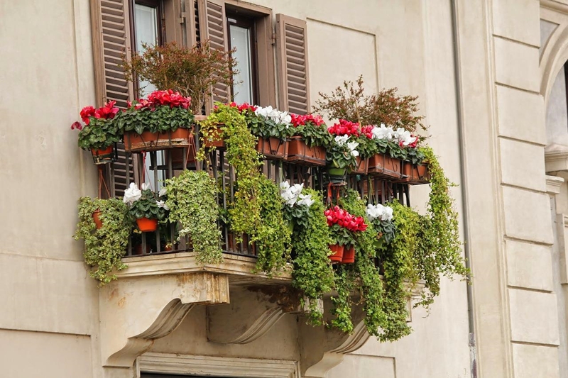balkon ideen pflanzen die schatten lieben viele blumentoepfe mit blumen