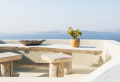 Mediterranes Flair, das Sichtschutz bietet: Entdecken Sie die besten Pflanzen für Terrasse und Balkon