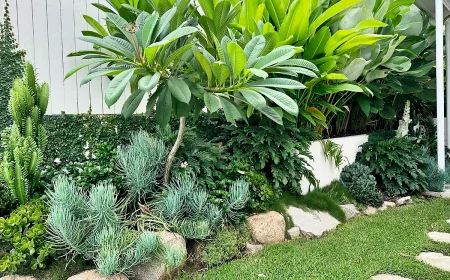 bepflanzen sichtschutz garten ideen schutz vor neugierigen blicken grosse gewaechse modern outdoor design