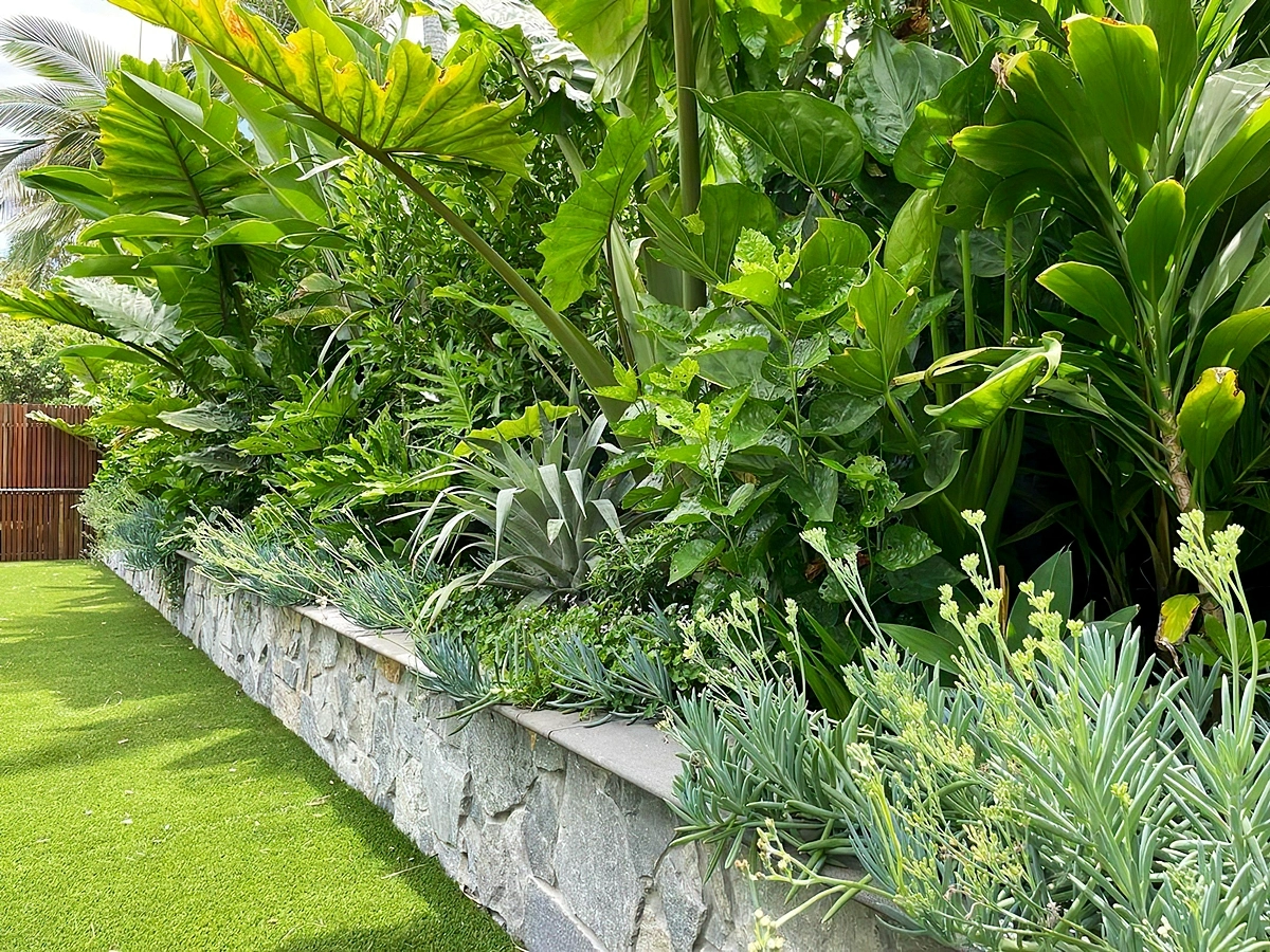 bepflanzen sichtschutz garten ideen stein und grossen pflanzen modern outdoor design