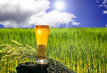 Ihr Garten liebt Bier! Verwenden Sie Bier als Dünger für Pflanzen und Rasen