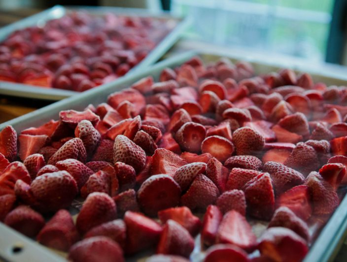 erdbeeren haltbar machen durch einfrieren erdbeeren auf tablett im gefrierfach