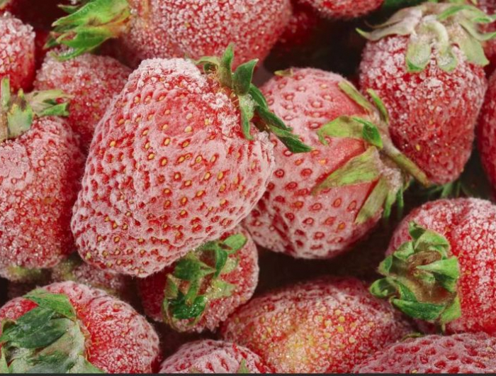 erdbeeren haltbar machen durch einfrieren gefroherene erdbeeren