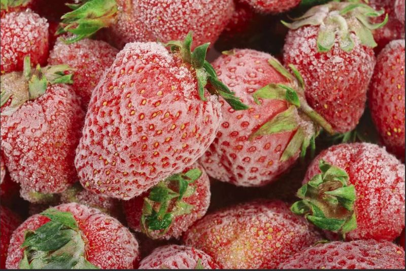 erdbeeren haltbar machen durch einfrieren gefroherene erdbeeren