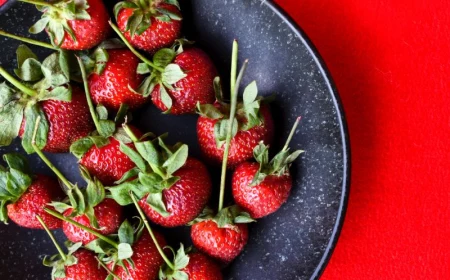 erdbeeren haltbar machen rezepte frische erdbeeren lecker