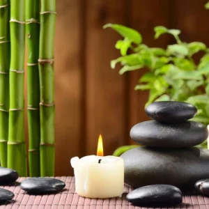 feng shui pflanzen einrichtung harmonie wohnung bagua
