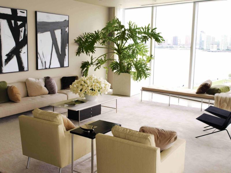 modern living room decorating ideas plant decorating our homes with plants interior design explained of modern living room decorating ideas plant