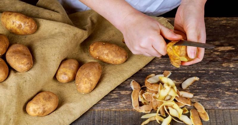 schaele entfernen aus gekeimten kartoffeln essbar
