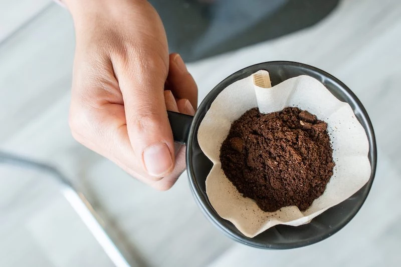 so effektiv ist es wirklich mit kaffeesatz gegen ameisen