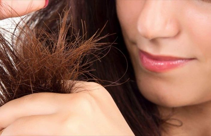 spliss identifizieren und enfernen großaufnahme von spliss im haar